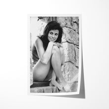 Load image into Gallery viewer, Raquel Welch #002