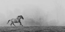 Load image into Gallery viewer, #602 Horse