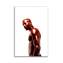 Load image into Gallery viewer, #004 DMX