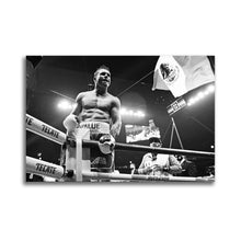 Load image into Gallery viewer, #004BW Canelo Alvarez