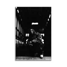 Load image into Gallery viewer, #006 DMX