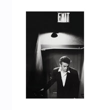 Load image into Gallery viewer, #052 James Dean