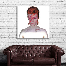 Load image into Gallery viewer, #502 David Bowie