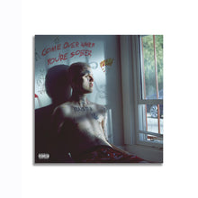Load image into Gallery viewer, #501 Lil Peep
