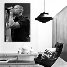 Load image into Gallery viewer, #018 Linkin Park