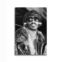 Load image into Gallery viewer, #002 Stevie Wonder
