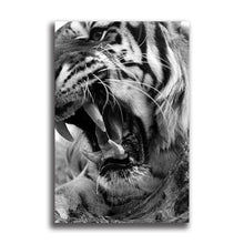 Load image into Gallery viewer, #002BW Tiger

