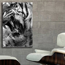 Load image into Gallery viewer, #002BW Tiger
