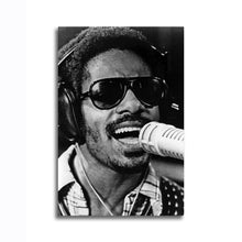 Load image into Gallery viewer, #003 Stevie Wonder
