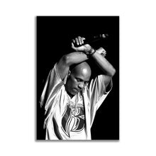 Load image into Gallery viewer, #005 DMX
