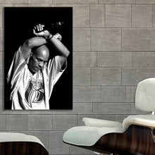 Load image into Gallery viewer, #005 DMX
