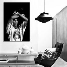 Load image into Gallery viewer, #009BW DMX
