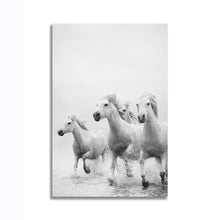Load image into Gallery viewer, #039BW Horse
