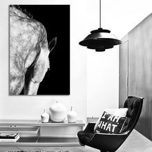 Load image into Gallery viewer, #035BW Horse
