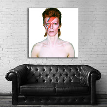 Load image into Gallery viewer, #500 David Bowie
