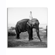 Load image into Gallery viewer, #501 Kate Moss
