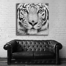 Load image into Gallery viewer, #501BW Tiger
