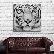 Load image into Gallery viewer, #501BW Tiger
