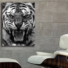 Load image into Gallery viewer, #701BW Tiger
