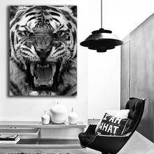 Load image into Gallery viewer, #701BW Tiger
