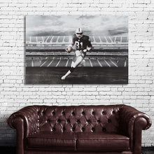 Load image into Gallery viewer, #004 Raiders Tim Brown
