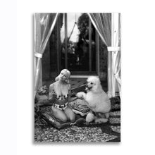 Load image into Gallery viewer, #015BW Madonna
