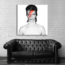 Load image into Gallery viewer, #501FG David Bowie
