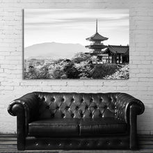 Load image into Gallery viewer, #025BW Japan
