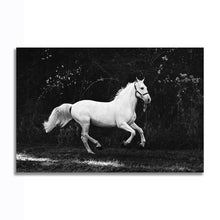 Load image into Gallery viewer, #013BW Horse
