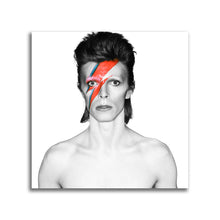 Load image into Gallery viewer, #501FG David Bowie

