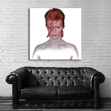 Load image into Gallery viewer, #502 David Bowie
