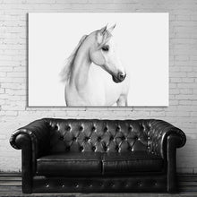 Load image into Gallery viewer, #030BW Horse
