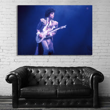 Load image into Gallery viewer, #022 Prince

