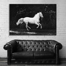 Load image into Gallery viewer, #013BW Horse
