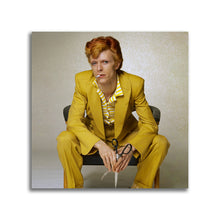 Load image into Gallery viewer, #504 David Bowie
