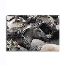 Load image into Gallery viewer, #003 Horse

