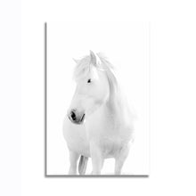 Load image into Gallery viewer, #043bw Horse

