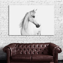 Load image into Gallery viewer, #030BW Horse
