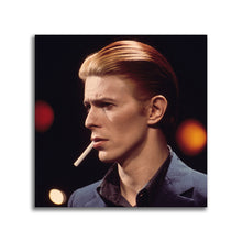 Load image into Gallery viewer, #507 David Bowie
