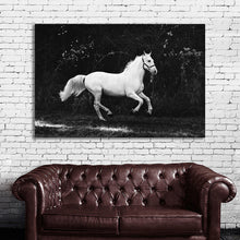 Load image into Gallery viewer, #013BW Horse

