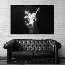 Load image into Gallery viewer, #021BW Prince
