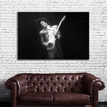 Load image into Gallery viewer, #021BW Prince
