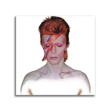 Load image into Gallery viewer, #502 David Bowie

