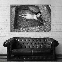 Load image into Gallery viewer, #075BW Kendall Jenner
