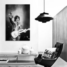 Load image into Gallery viewer, #020BW Prince
