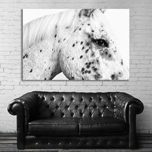 Load image into Gallery viewer, #022BW Horse
